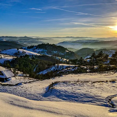 Skyline Lux Zlatna Lisica * 즐라티보