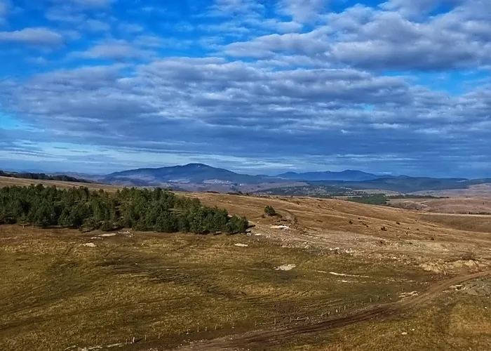Skyline Lux Zlatna Lisica *