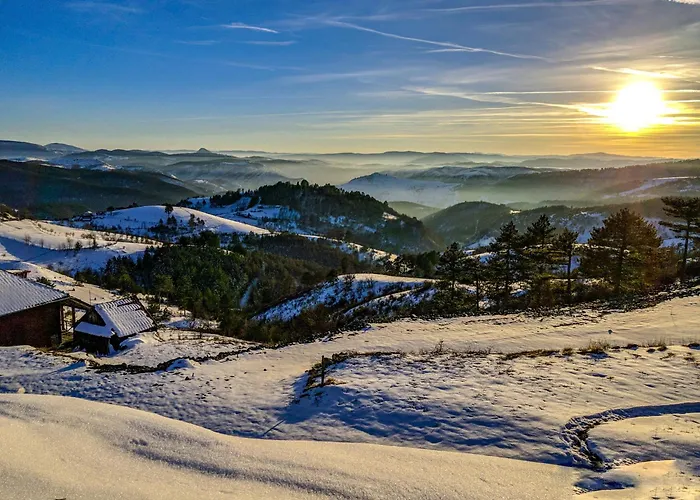 Skyline Lux Zlatna Lisica * 즐라티보